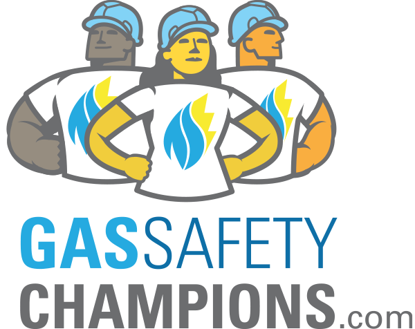 Gas Online Safety Survey